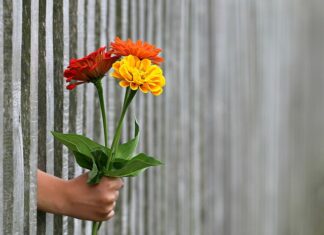 Na jakie ogrodzenie nie trzeba pozwolenia?